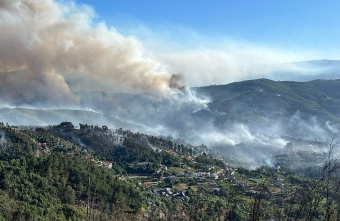 البرتغال تكافح 3 حرائق غابات كبيرة مع ارتفاع الحرارة في الصيف