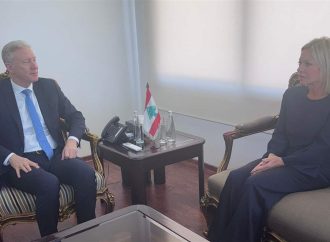 بلاسخارت وضعت رجي في أجواء الاتصالات التي تقوم بها في المنطقة في سبيل تحقيق التهدئة