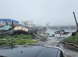 بعد زلزال روسيا… هذا ما كشفه خبير جيولوجي عن لبنان!