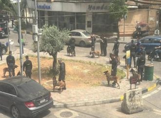 اللجنة الأمنية لـ”الحزب”: كيان أمني موازٍ للدولة