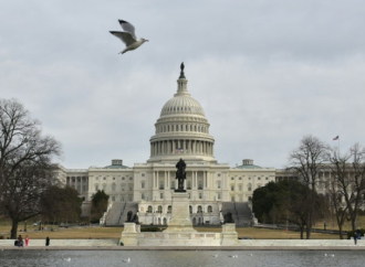 “رويترز”: مجلس الشيوخ الأميركي عرقل محاولتين لحظر مبيعات الأسلحة لإسرائيل على خلفية حرب غزة