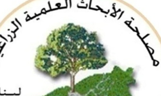 مصلحة الأبحاث الزراعية: الطقس مستقر حتى الخميس المقبل ولا صحة لما يروج عن منخفضات قادمة