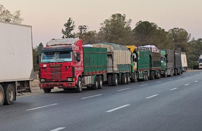 قافلة إنسانيّة وتجاريّة إلى السويداء