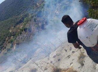 الدفاع المدني يحمي أحراج كفتون من كارثة مدمرة ويُحبط حرائق كبرى من طرابلس وصولًا إلى الشوف