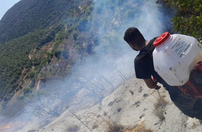 الدفاع المدني يحمي أحراج كفتون من كارثة مدمرة ويُحبط حرائق كبرى من طرابلس وصولًا إلى الشوف