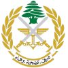الجيش: ضبط كمية كبيرة من الأسلحة والقذائف والذخائر الحربية