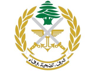 الجيش: ضبط كمية كبيرة من الأسلحة والقذائف والذخائر الحربية