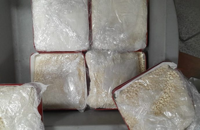 الأمن يوقف شريكة المرأة التي حاولت تهريب الكبتاغون عبر المطار
