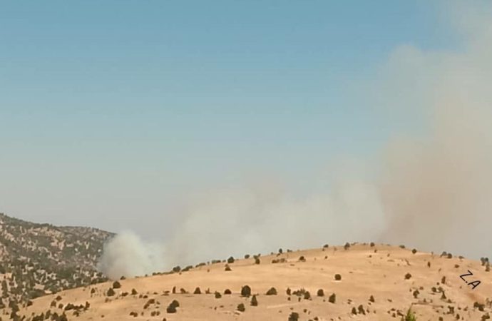 حريق هائل في جرود الهرمل