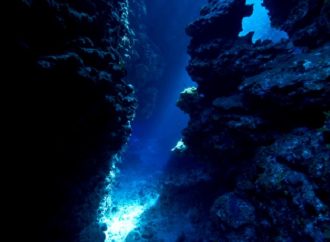 اكتشاف حياة غريبة في أعماق المحيط الهادئ