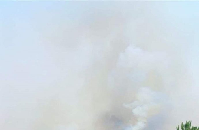 حريق بين زوطر وقعقعية الجسر جنوبًا