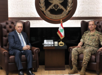 دبور زار هيكل مهنئا بعيد الجيش والتقى سفراء وشخصيات مودعين