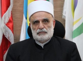 لقاءات لشيخ العقل.. باسيل: نستطيع ردّ الضربات بتضامننا
