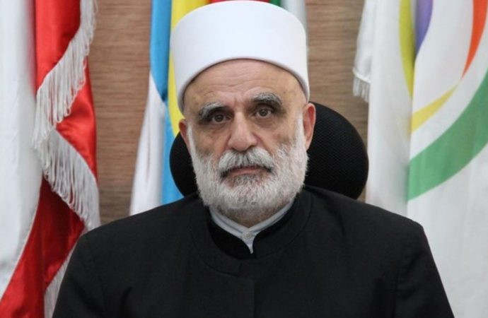 لقاءات لشيخ العقل.. باسيل: نستطيع ردّ الضربات بتضامننا