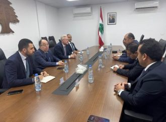 وزير الخارجية يلتقي الأمين العام لجامعة الدول العربية