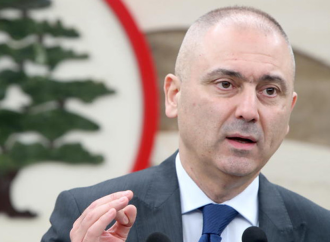 محفوض: التجديد لـ”اليونيفيل” ضروري