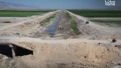 نهر العاصي في سوريا: الجفاف الأسوأ منذ نصف قرن