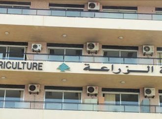 الزراعة أطلقت حملة جوية لمكافحة حشرة “ليبتوجلوسوس
