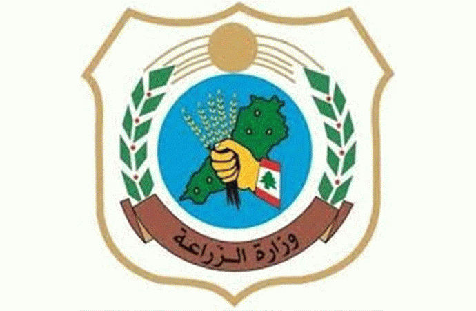“الزراعة” تستكمل حملة رشّ أشجار الصنوبر