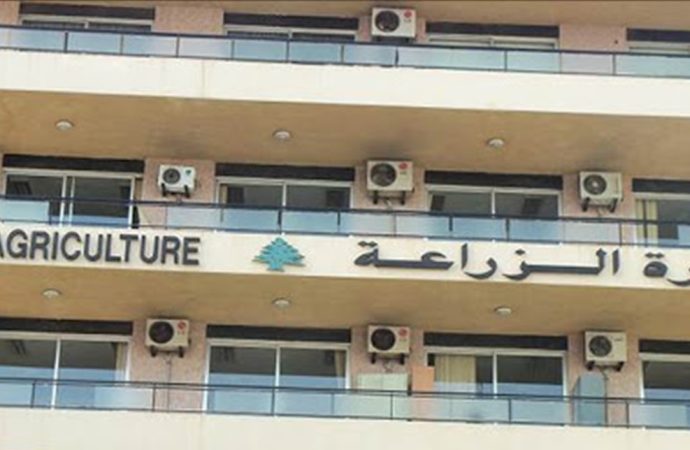 الزراعة أطلقت حملة جوية لمكافحة حشرة “ليبتوجلوسوس