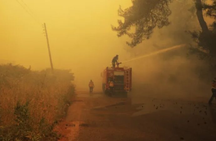 حرائق غابات اللاذقية تتجدد