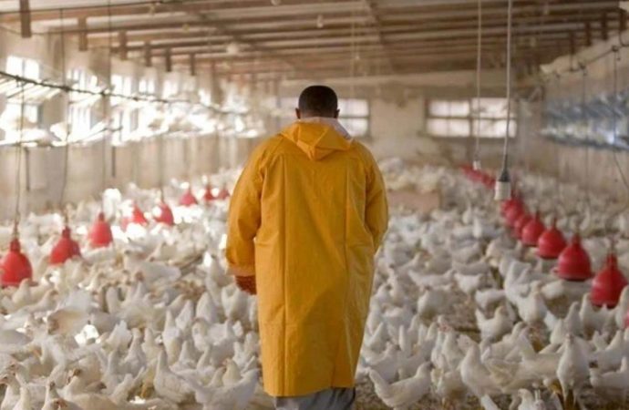 قطاع يُعاني… 36 ألف وظيفة مهدّدة
