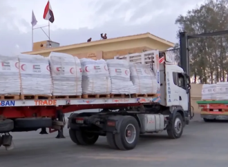 دخول أكثر من 10 آلاف طن من المساعدات الإماراتية إلى غزة