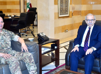 رئيس الحكومة استقبل قائد الجيش