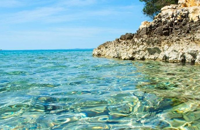 استقرار بدرجات الحرارة… والرطوبة عالية