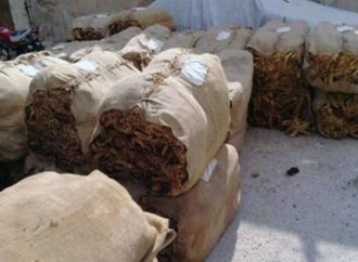 “الريجي”.. بدء تسلّم المحاصيل من مزارعي الشمال في هذا التاريخ