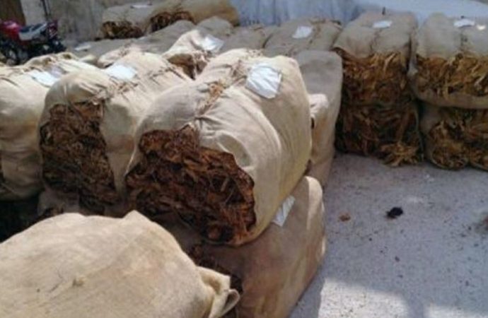 “الريجي”.. بدء تسلّم المحاصيل من مزارعي الشمال في هذا التاريخ