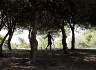 “الزراعة” تطلق مشروعاً وطنياً لتشجير جوانب الطرقات