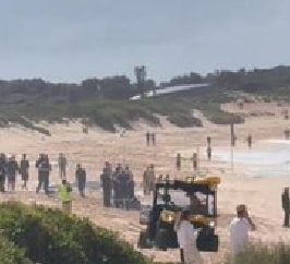 بعد هجوم سمكة قرش… الشرطةالاسترالية تنتشر وتُغلق الشواطئ