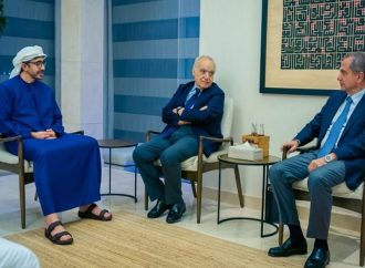 سبل الاستثمار بقطاع الطاقة بين الصدي ووزير خارجية الإمارات